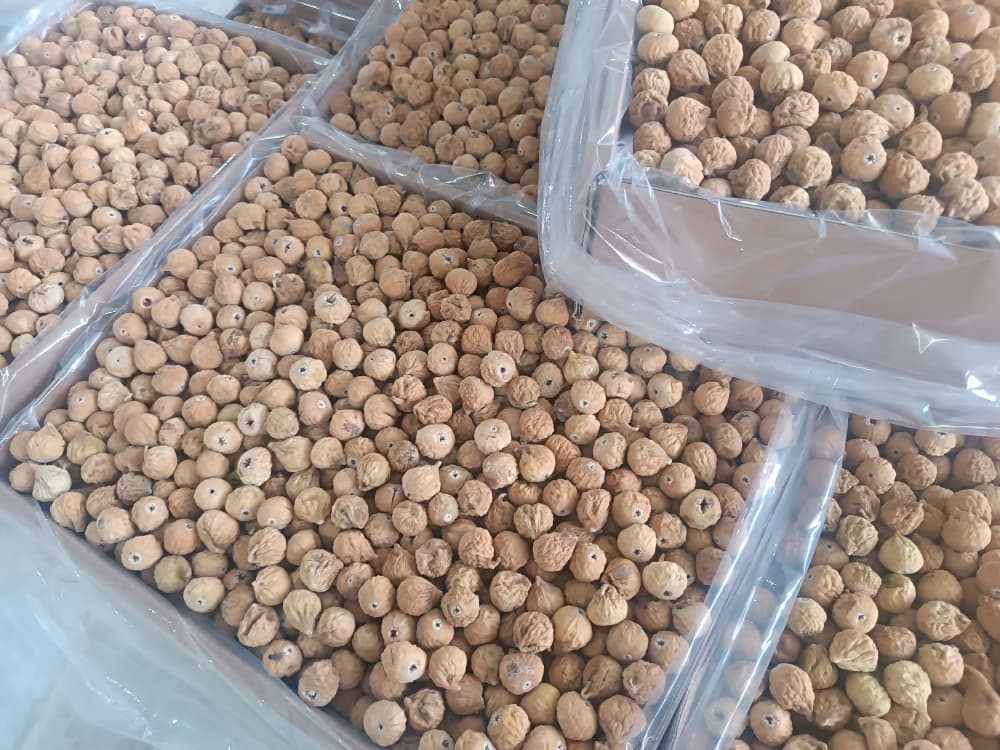 تصویر 1 از خرید تضمینی انجیر رو رنگ متوسط (AA) با کیفیت صادراتی